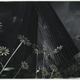Illustration for article titled What Would Happen if Humans Were Gone, Illustrated by emThe Last of Us/em